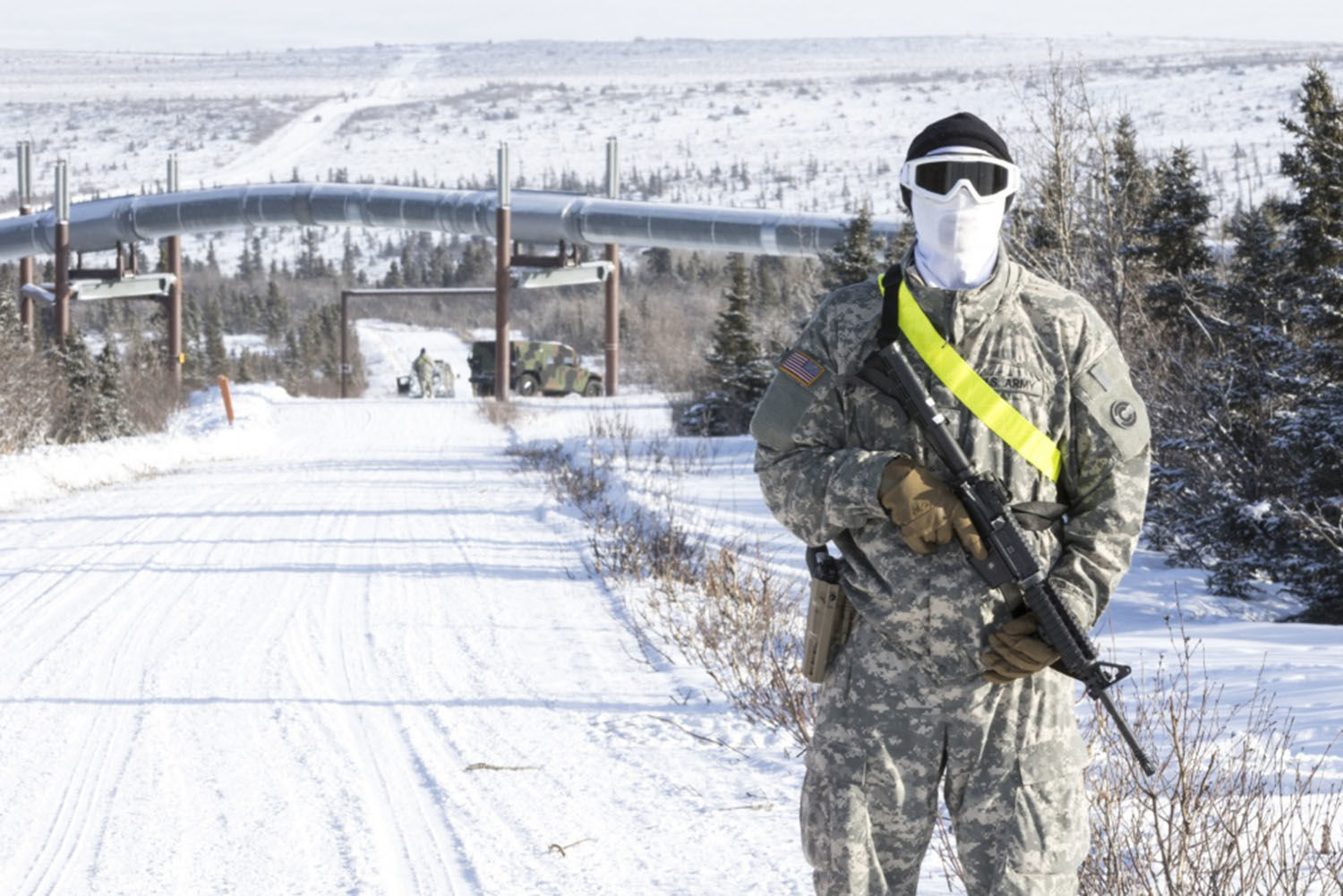 Arctic Eagle 2018, Donnelly Training Area, Fort Greely